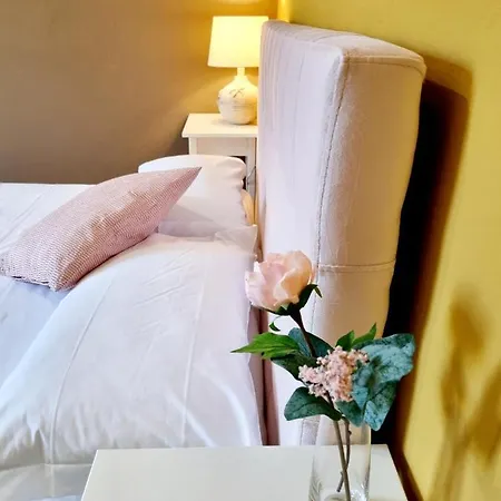 Rose * Pisa