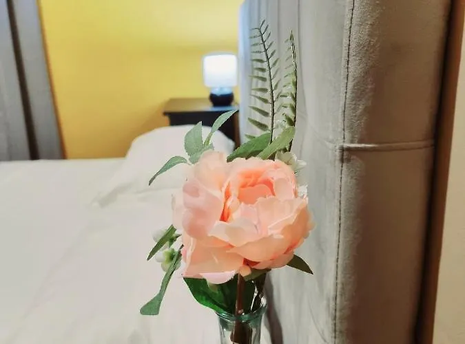 게스트하우스 Rose 3*