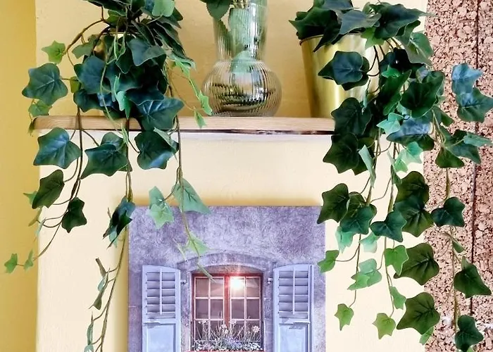 게스트하우스 Rose 피사